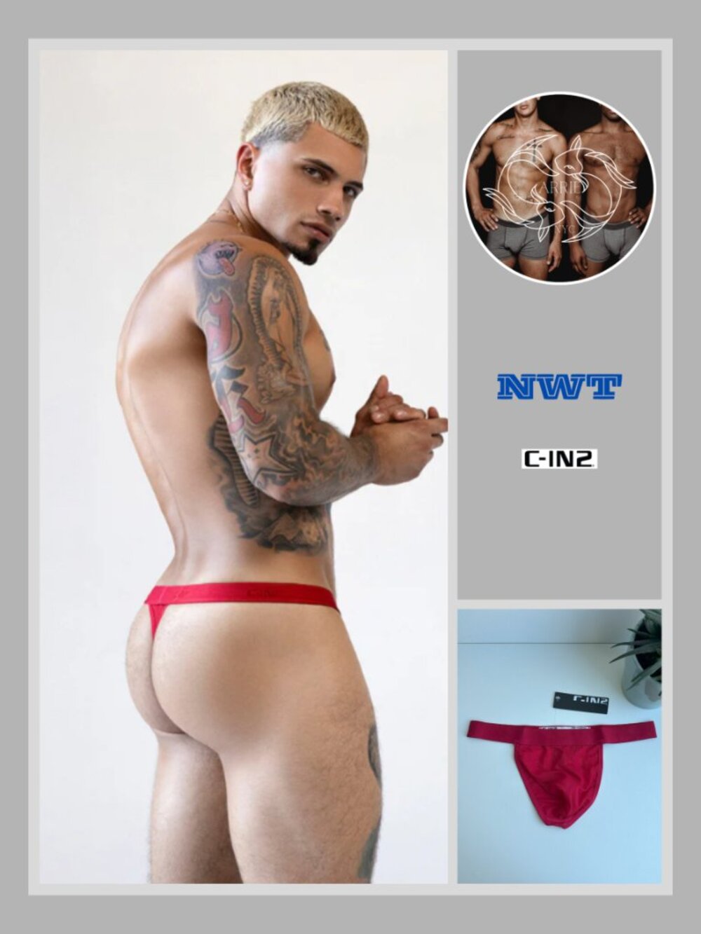 C-IN2 - Sheer - Thong - Rowan Red (M)